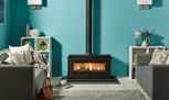 Gas & Electric Fires