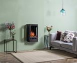 Gas & Electric Fires