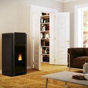 Pellet Stoves